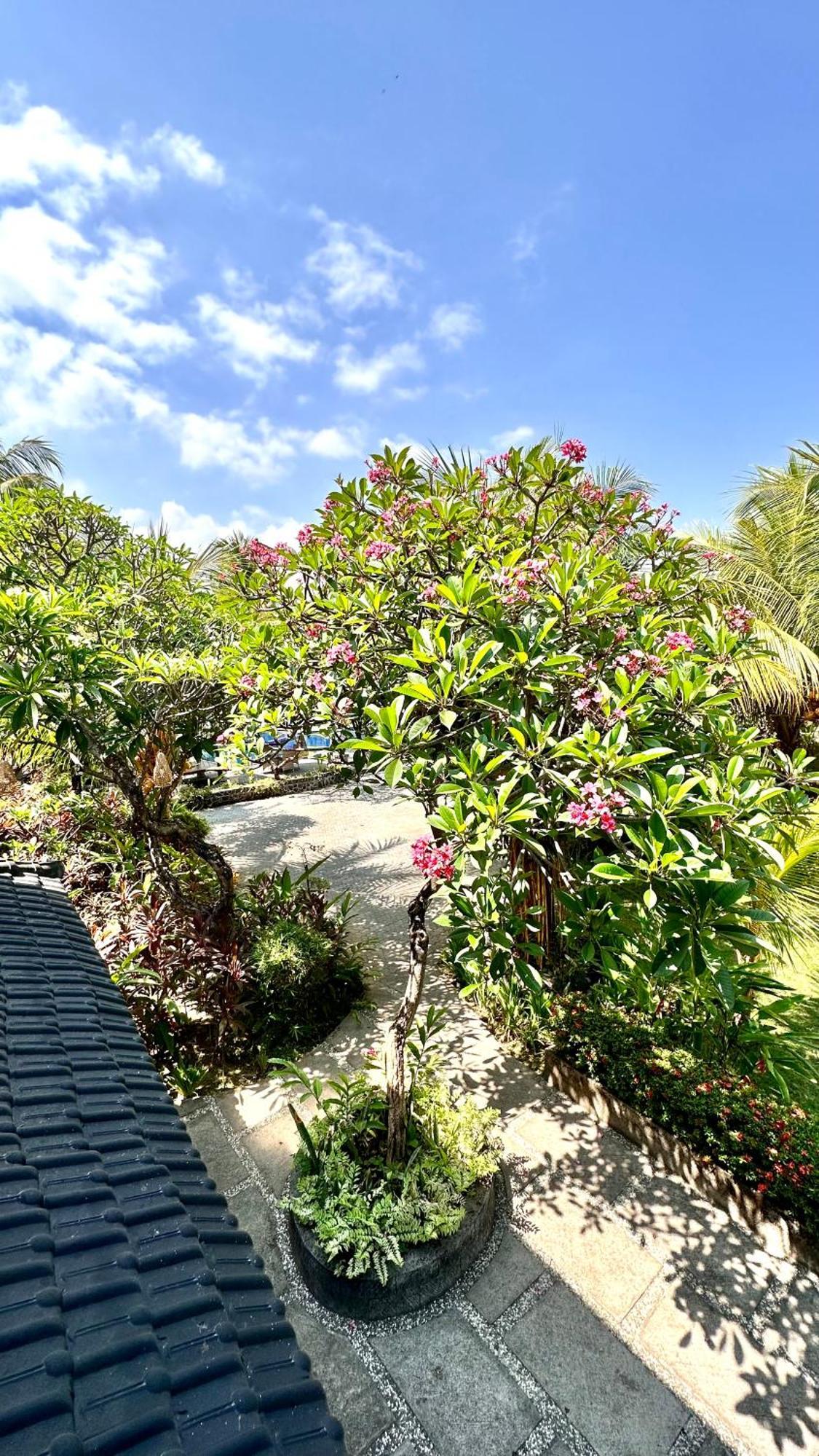 Puri Bali Hotel Lovina Beach Extérieur photo